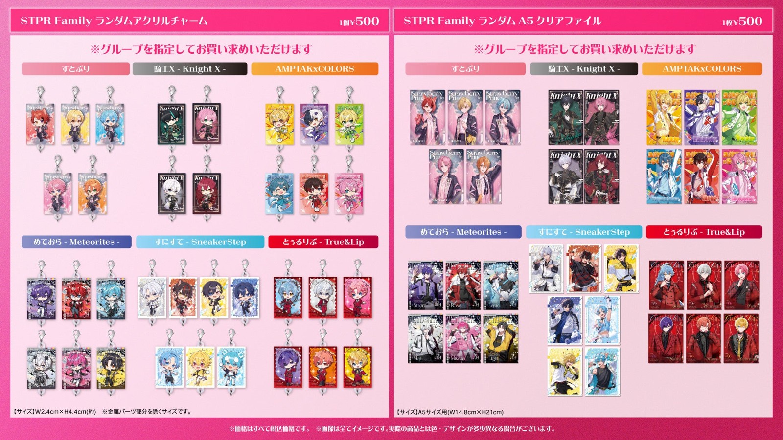 STPR Family ランダムアクリルチャームとランダムA5クリアファイル