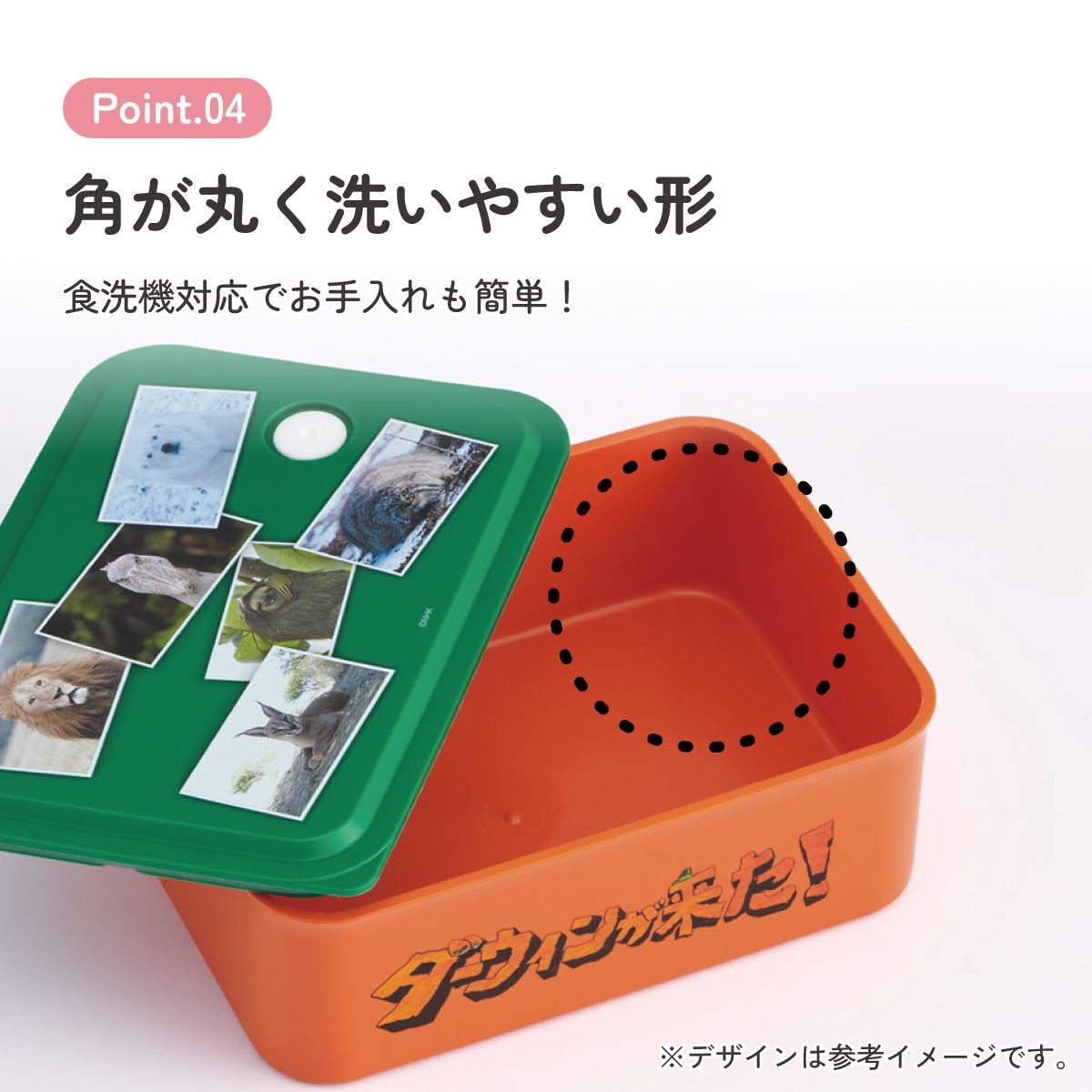 スケーター ダーウィンが来た! お弁当箱 丸い内角