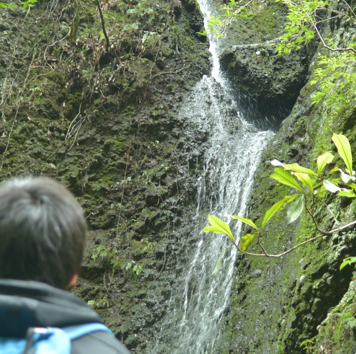 高野山コースの幻の滝