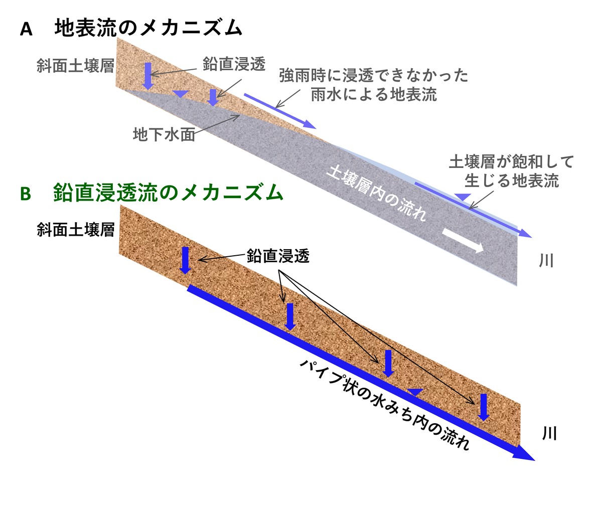山腹斜面における豪雨時の流出メカニズムの概念図