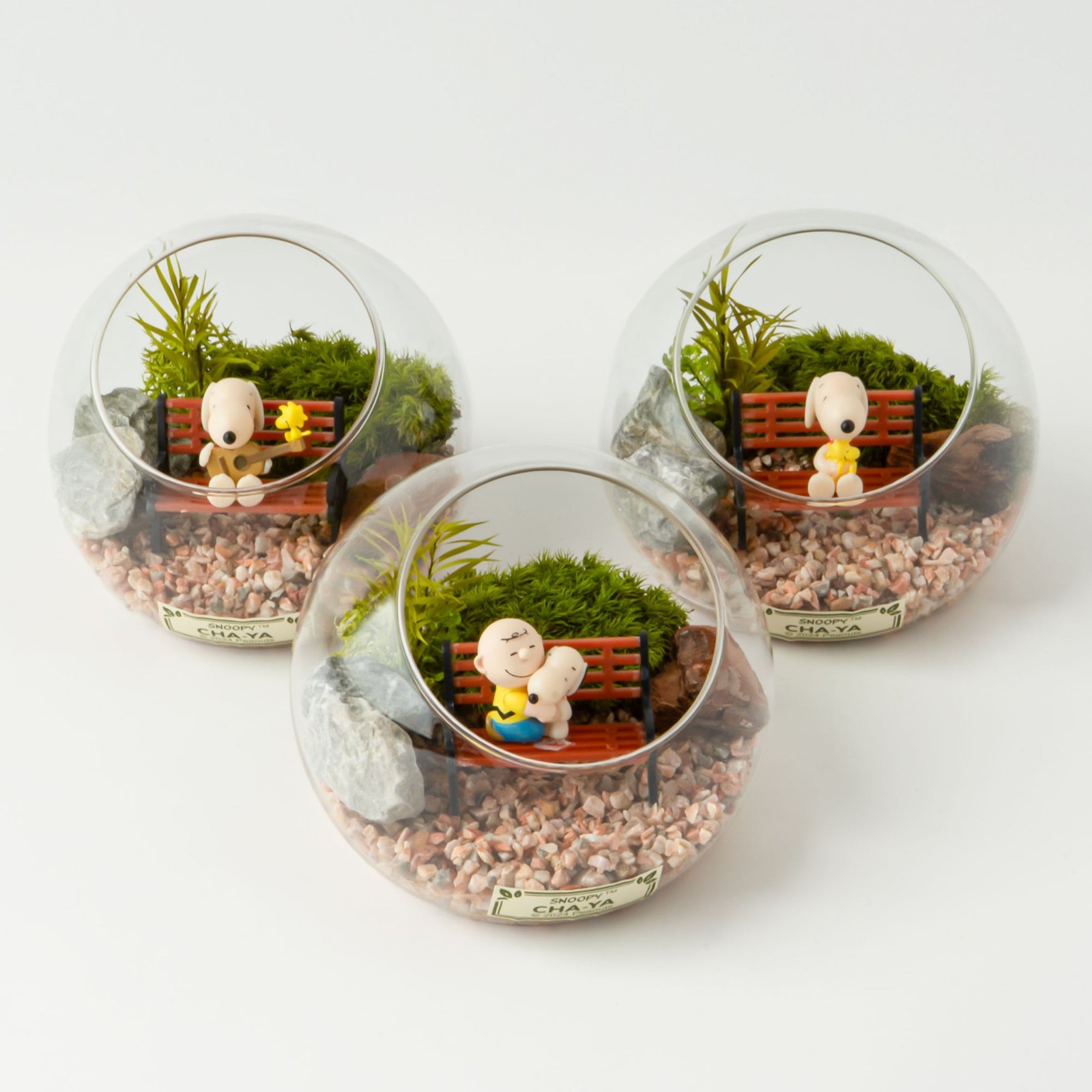 スヌーピー茶屋 苔テラリウム大