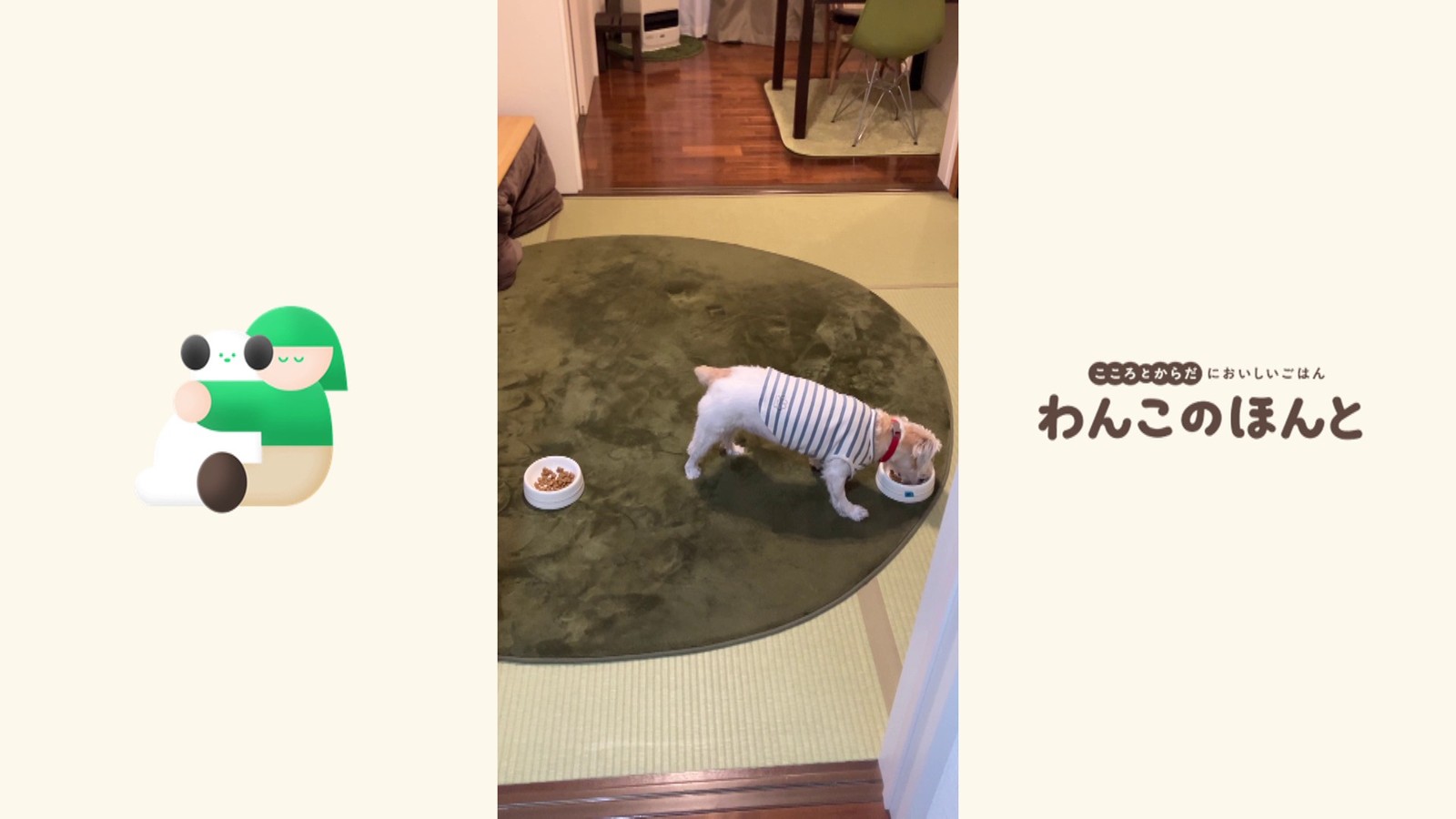 食べ比べるワンちゃん
