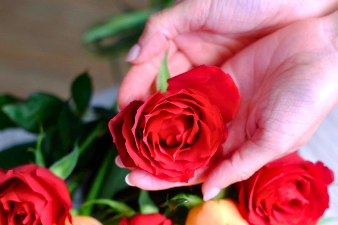 ダーズンローズの生花の接写