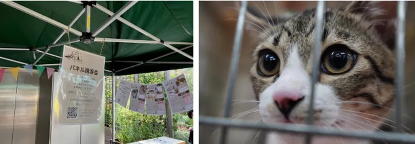 むさしの地域猫の会 保護猫譲渡パネル展