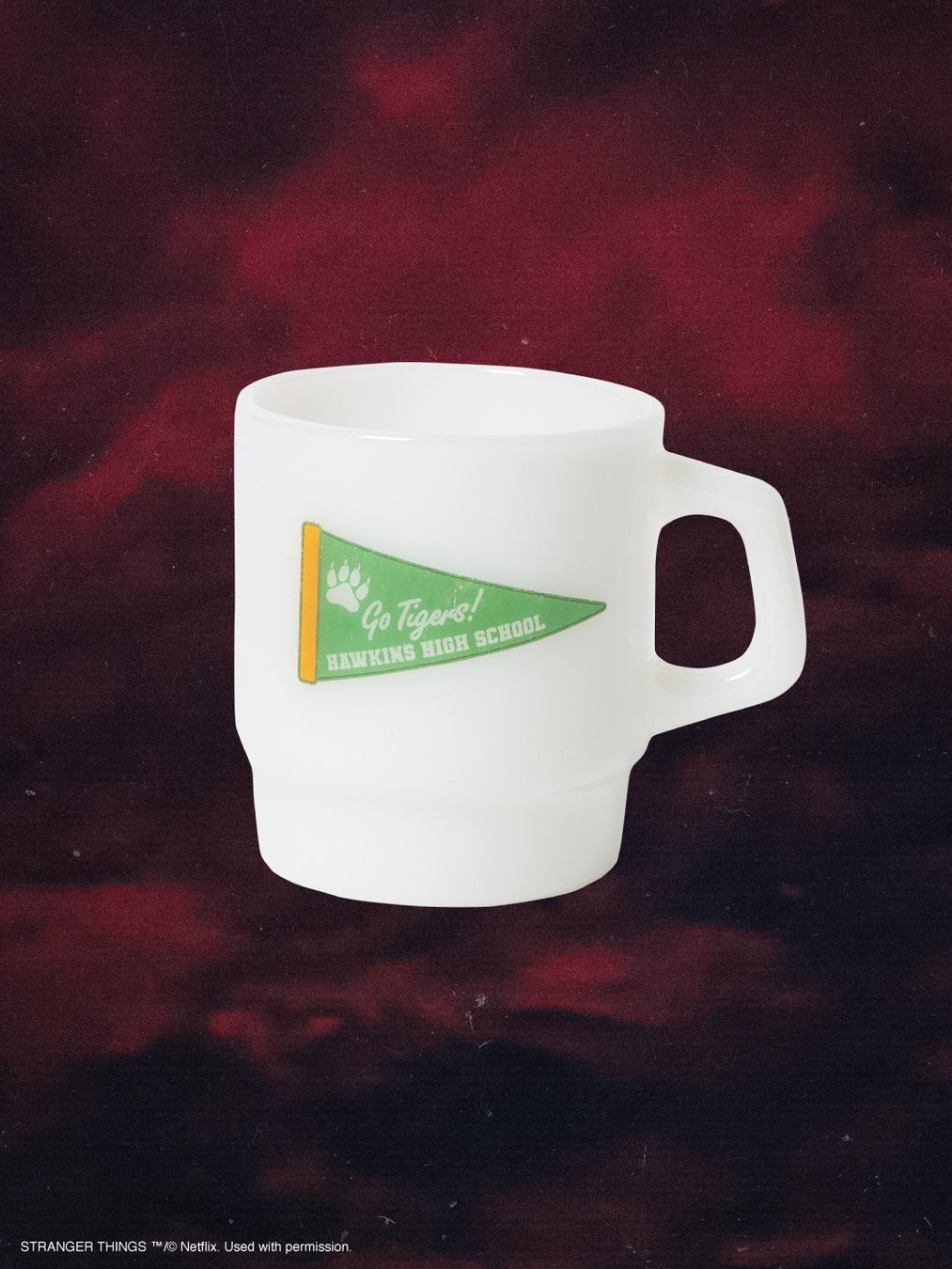 Hawkins High School Mug Cup