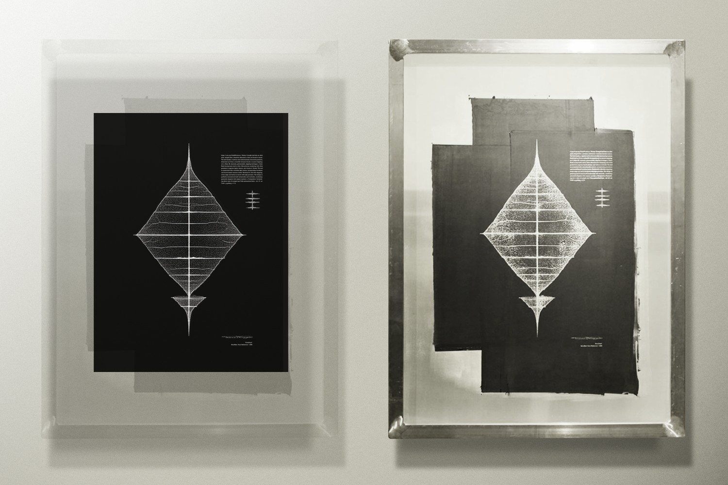 《PromPlant(R) HeartBeat_Fumi Hashimoto_2026》