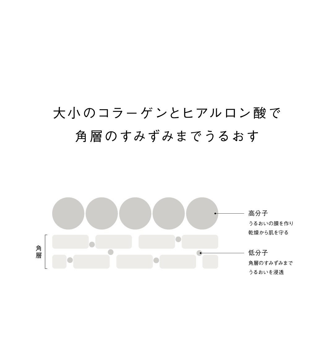 高分子と低分子のコラーゲン・ヒアルロン酸による保湿の模式図
