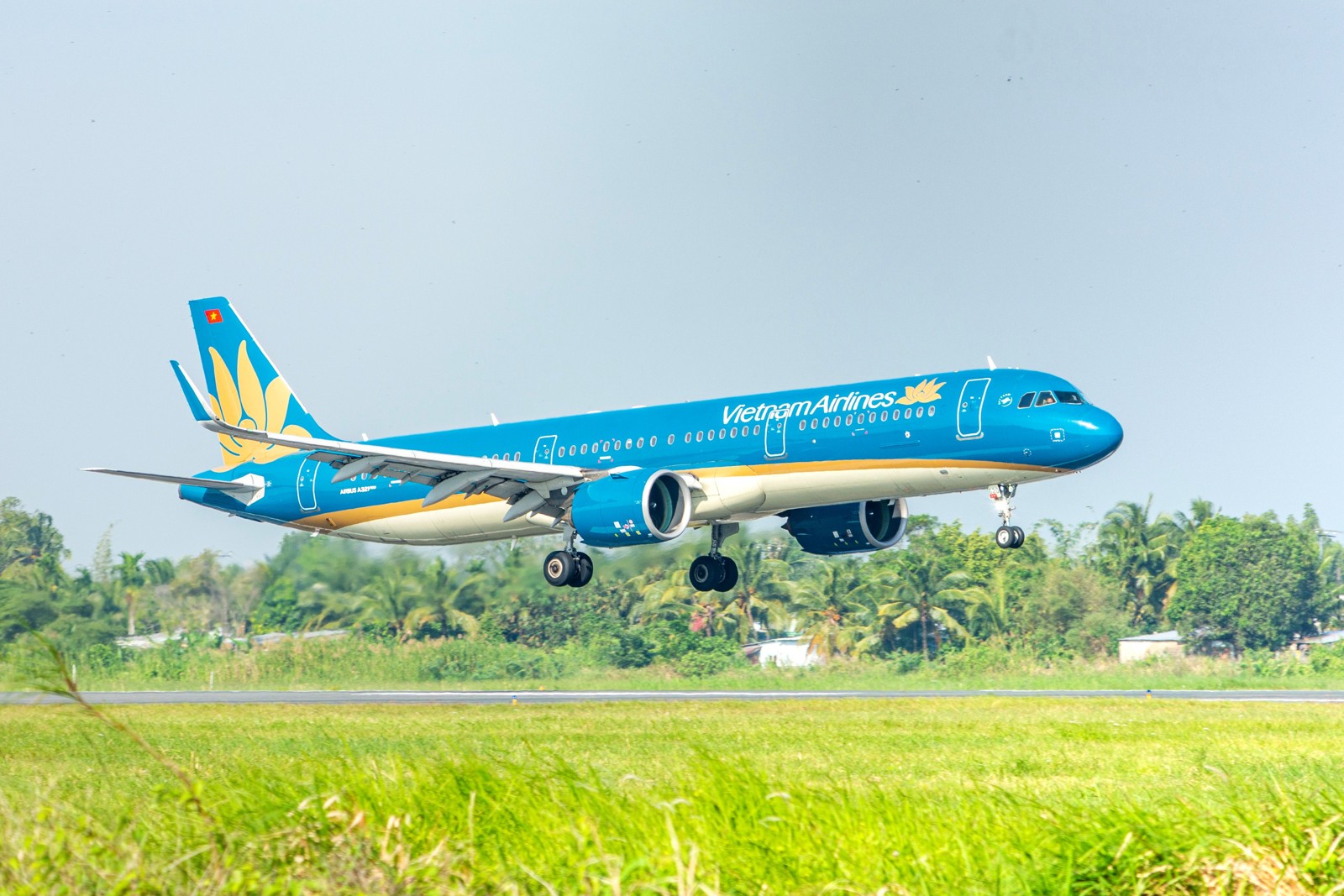 Vietnam Airlinesの旅客機