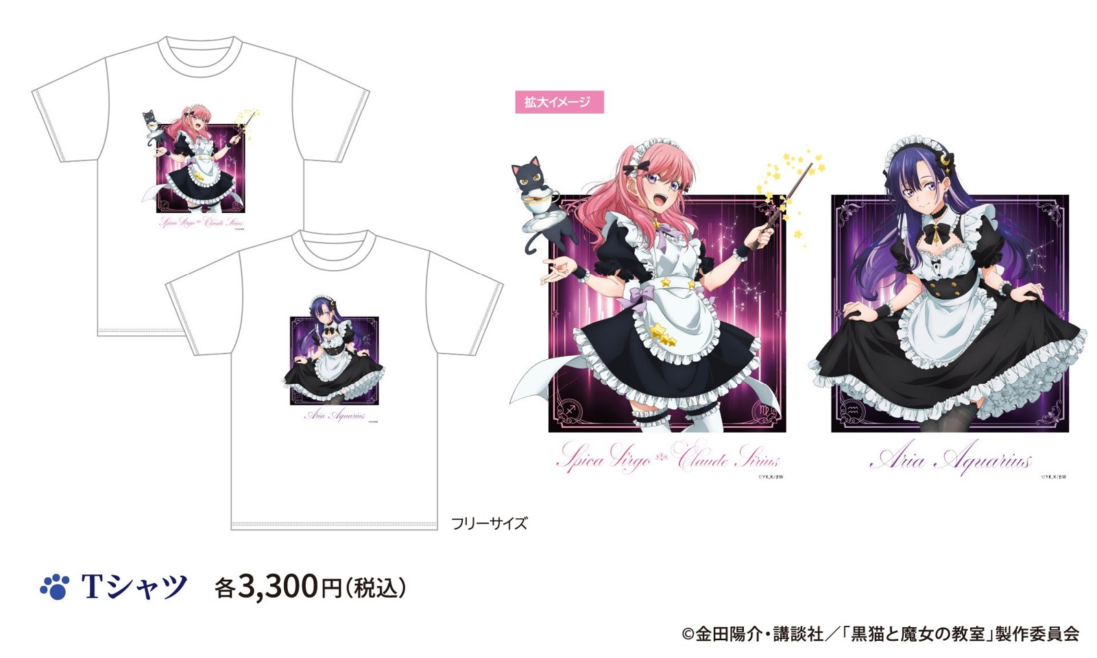 Tシャツ