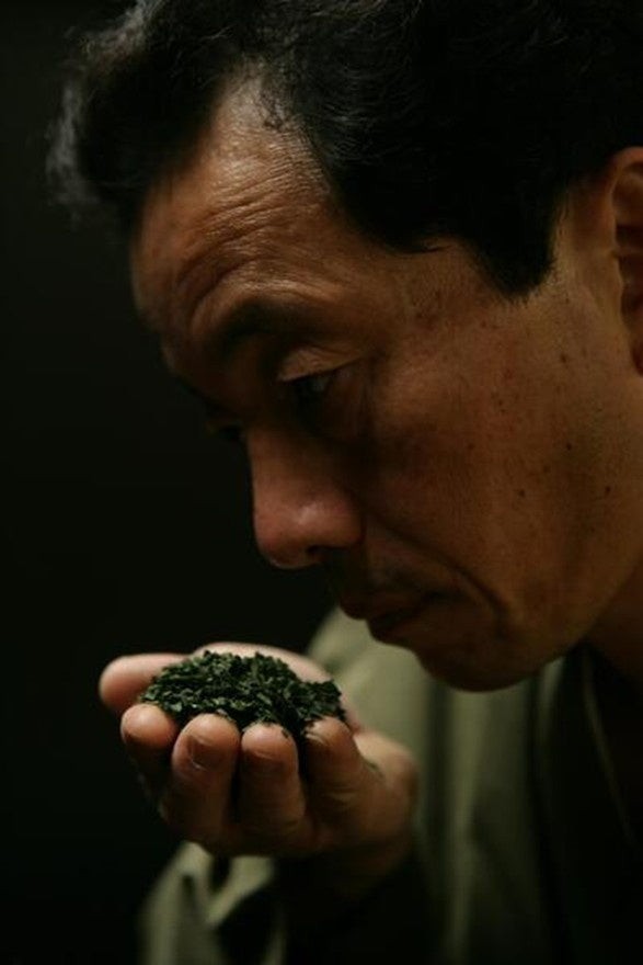 宇治抹茶の茶葉を確かめる様子