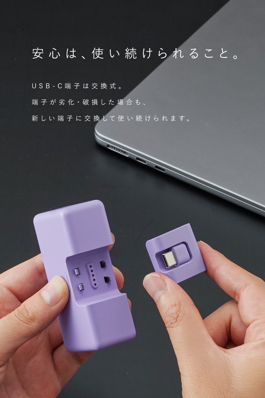 端子を取り外したCIO Mate Powerbank004