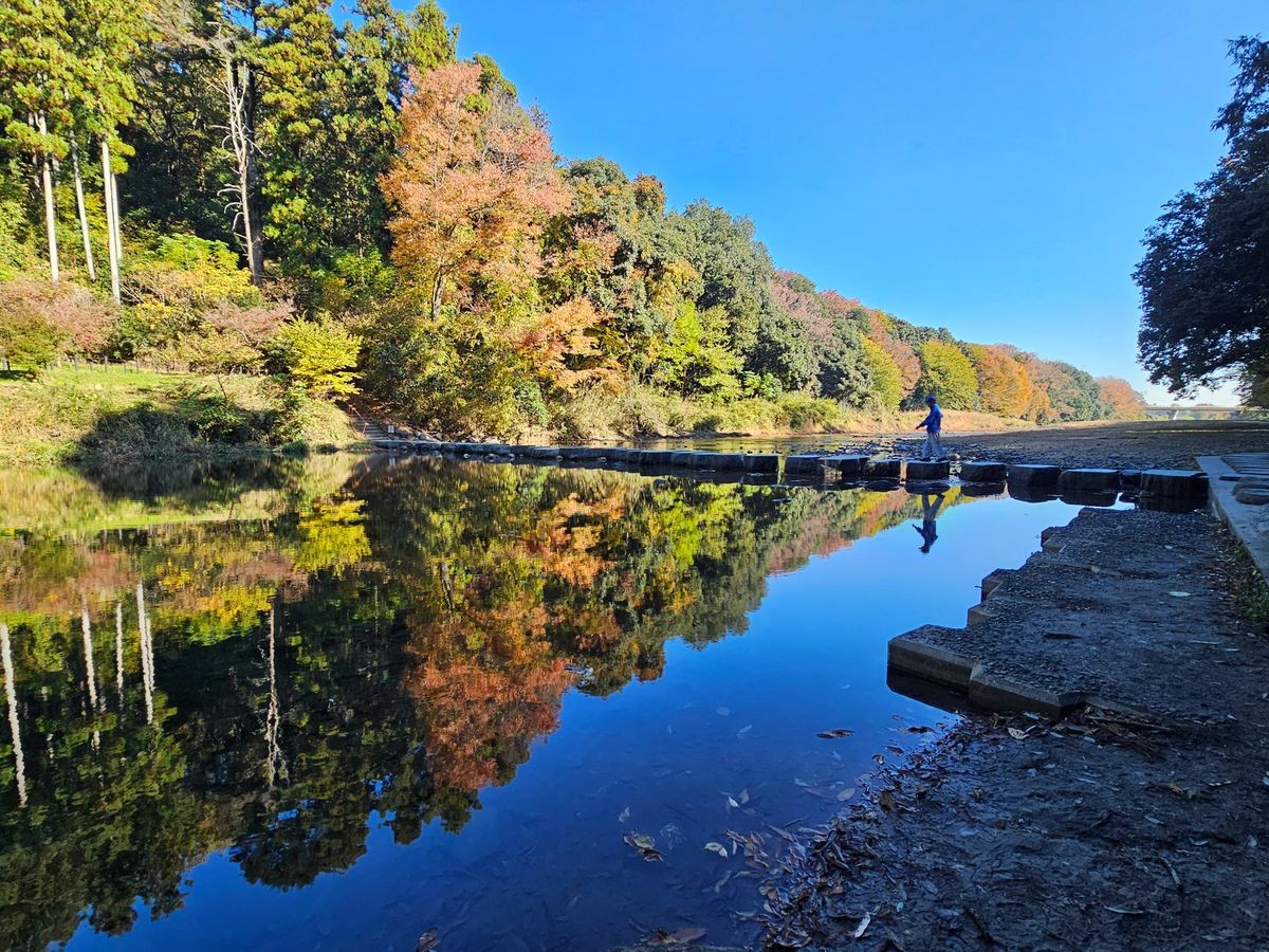 飛び石周辺の水面に映る紅葉