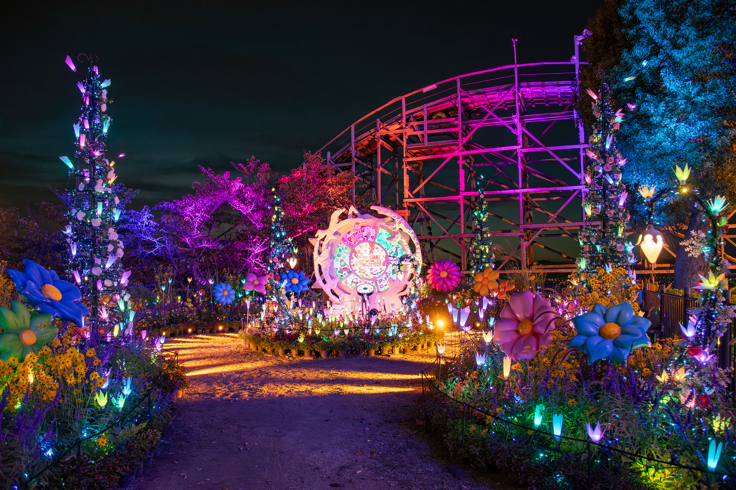光の遊園地 30thノームのフラワーガーデン