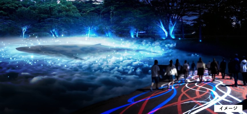 和歌山城 光と幻想の夜